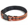 Spiffy Dog Reflective Air Collar Accessories 1 Spiffy Dog Reflective Air Collar Accessories