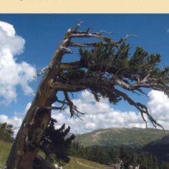 USGS Maps Pike National Forest Map (Forest Service Rocky Mountain Region)