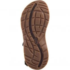 Chaco Women's Z/Cloud X Sandal